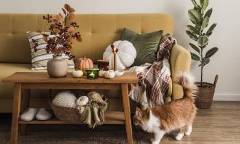 5 astuces pour transformer votre salon en nid douillet cet automne