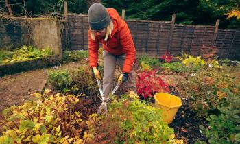 Que faire au jardin en octobre