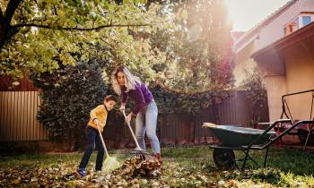 Petits travaux avant hiver