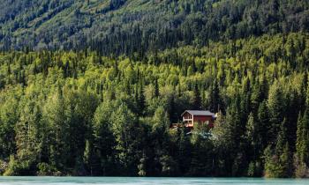 Acheter une maison près d’une forêt : les vérifications à faire avant de signer.