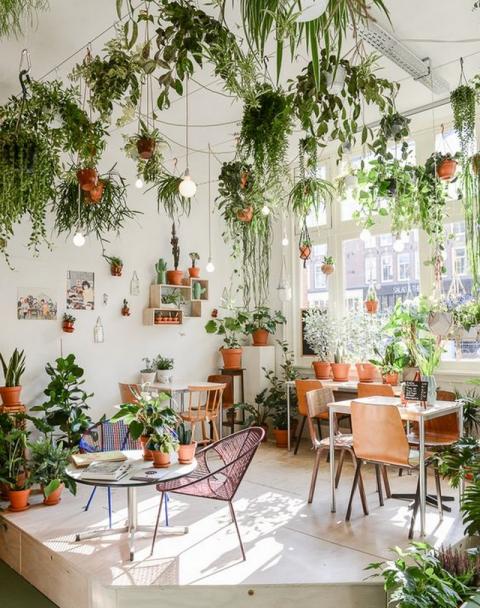 21 Idées Déco Pour Mettre En Valeur Des Plantes  Interior design plants,  Interior plants, Plant decor indoor