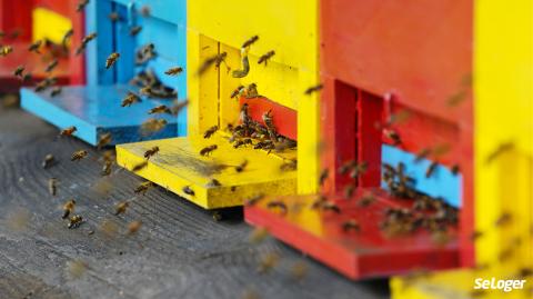 Quelle est la réglementation à respecter pour installer une ruche dans son jardin ? 