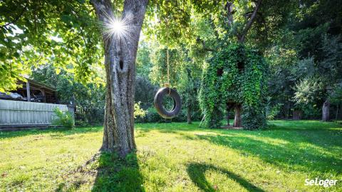 Les arbres de votre voisin vous causent une perte d’ensoleillement, que faire ?