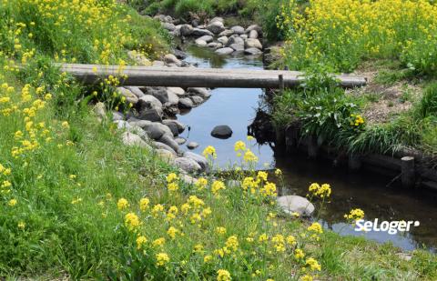 Votre propriété comprend un cours d’eau : quels sont vos droits et obligations ?