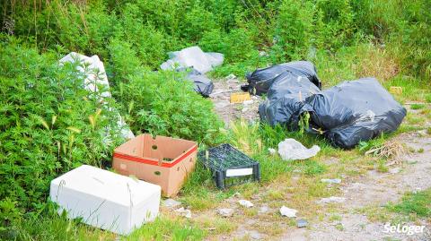 Selon le type déchet abandonné, l’amende peut aller jusqu’à 75 000 €. ©France68 Dépôt sauvage d'ordures ménagères : que dit la loi ?