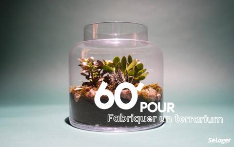 DIY : comment fabriquer un terrarium pour décorer son intérieur ?