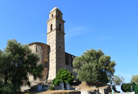Patrimonio : un village magique situé à 20 minutes de Bastia