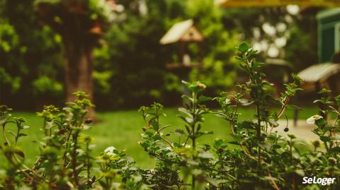 Puis-je enterrer mon animal domestique dans mon jardin ?