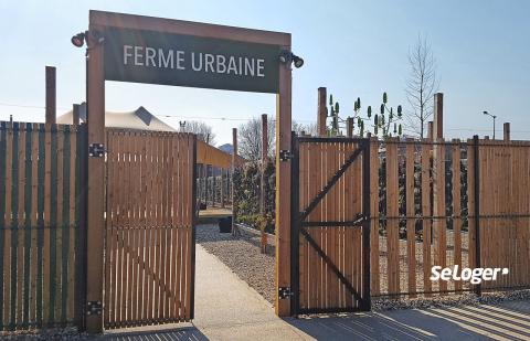 Grand Paris : la plus grande ferme aquaponique de France ouvre à Aubervilliers
