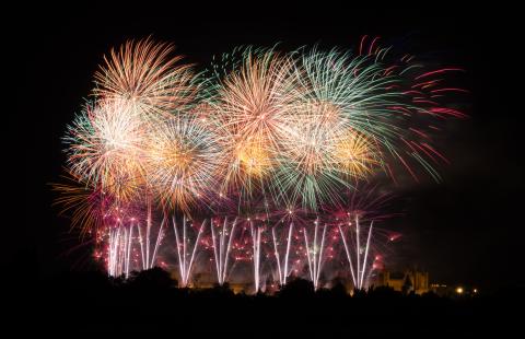 Ce qu'il faut savoir sur le feu d'artifice du 14 juillet à Lyon !