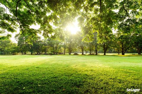 Est-il possible de se faire enterrer dans son jardin ?