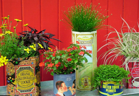 Jardin: où trouver de jolis pots pour mes fleurs?