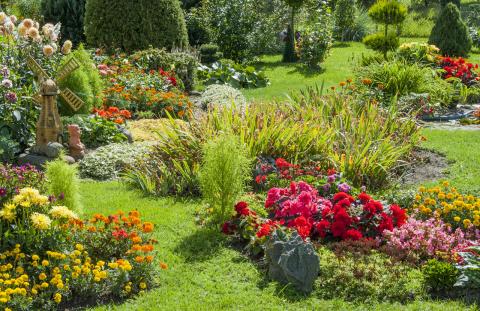 Les bienfaits des jardins thérapeutiques 