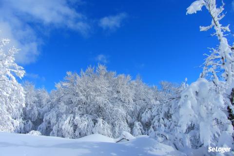 Massif du Jura : les bons plans pour acheter en montagne douce