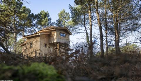 Maisons à louer dans les arbres : Center Parcs joue à Tarzan