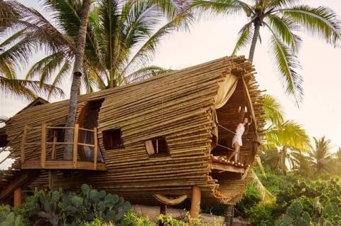 Une cabane écologique construite en bambou à découvrir au Mexique