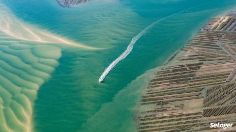 Que faire en priorité du côté du Bassin d’Arcachon ?