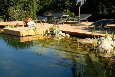 Plongez dans une piscine naturelle