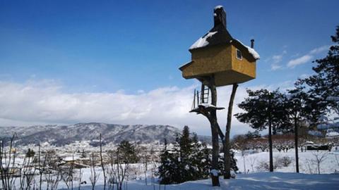 Découvrez une maison de thé japonaise !