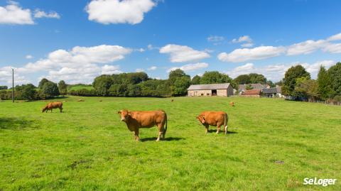 Pouvez-vous agrandir un bâtiment d’habitation situé en zone agricole ?