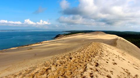 <em>Modifier Article</em> Que faire en priorité du côté du Bassin d’Arcachon ?