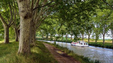 Vous pouvez longer le Canal du Midi à pied ou à vélo, ou encore naviguer à bord d'une péniche. © elmvilla - Getty images