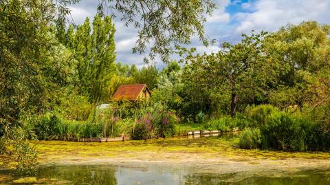 Le Berry est réputé notamment pour ses marais, et le charme bucolique de ses paysages de campagne. © Willy Mobilo - Getty images