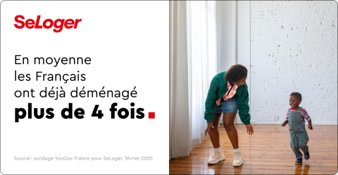 Infographie Statistiques Déménagement Français