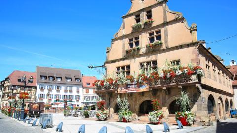place-hotel-de-ville-molsheim-seloger