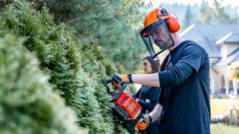 La taille de haie se fait idéalement au printemps