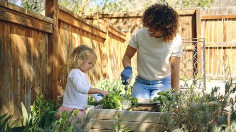 Mettez en place les bonnes pratiques pour un jardin d'été foisonnant. © RichLegg - Getty images