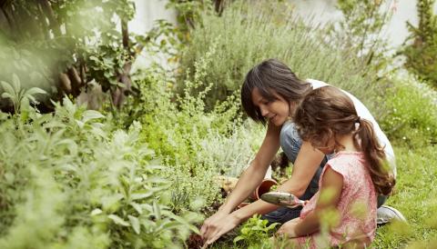 Quatre astuces pour un jardin stylé