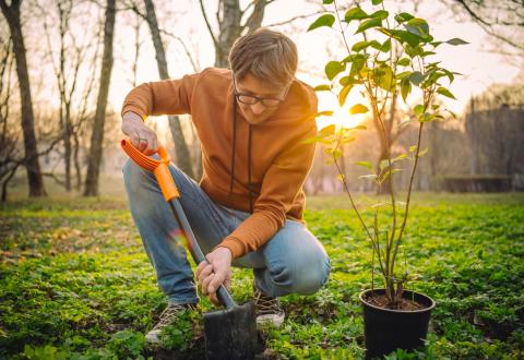 Découvrez les trucs et astuces pour devenir un vrai pro du jardinage.  © ArtMarie – Getty Images