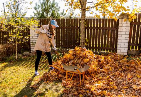 Un jardin bien entretenu est un atout pour vendre pendant l’automne © Yuliya Koneva – Getty Images
