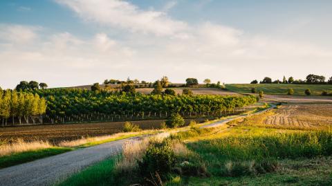 terre agricole dans le Gers