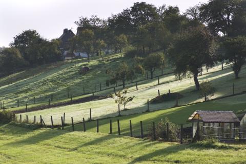 terrain en pente