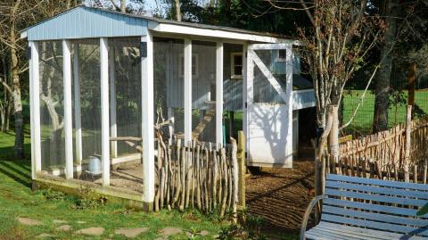 poulailler dans jardin