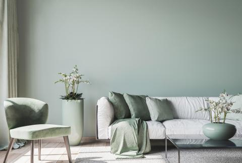 Un salon couleur vert sauge, très tendance en décoration d'intérieur