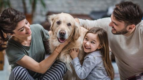 Il est recommandé de déclarer ses animaux de compagnie à son assureur afin d'être couvert en cas de dégâts. © skynesher - Getty images