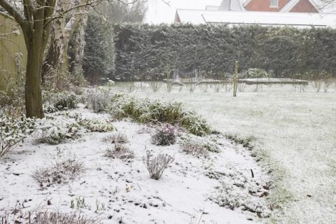 Préparation de la pelouse avant l'hiver