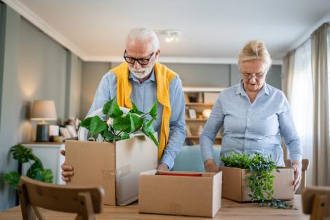 maison vs appartement