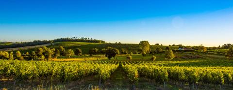 Saint-Exupéry campagne Gironde