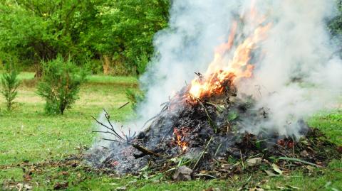 Brûler des déchets verts, est-ce autorisé ?