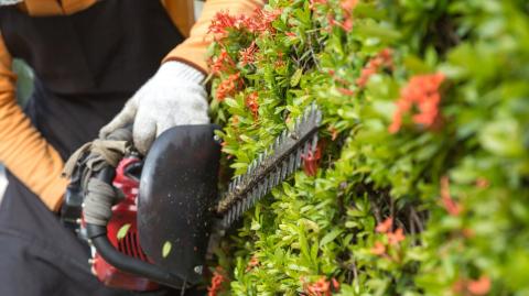 Qui doit s'occuper du jardin, le locataire ou le propriétaire ?