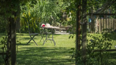 Ombre jardin