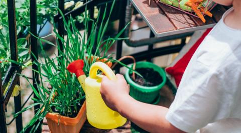 Faire participer les enfants dans l'aménagement d'un jardin
