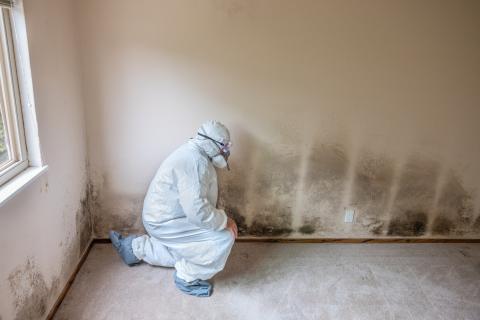 Taux d'humidité maison moisissures