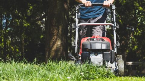 Quelle est la fréquence idéale pour tondre votre gazon ?