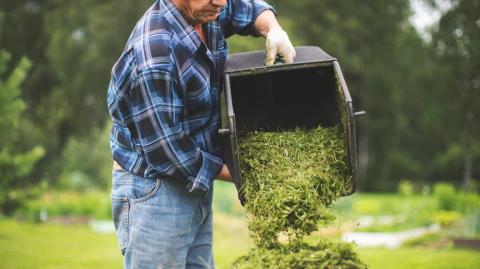 Que faire de votre herbe de tonte ?