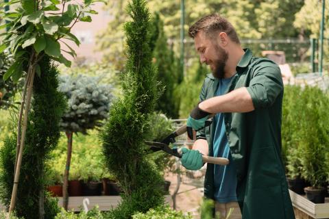 Un crédit d'impôt pour les petits travaux de jardinage